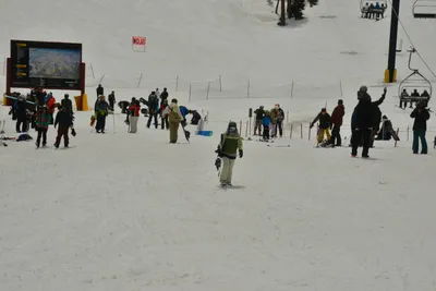 DSC_6672 (Large).JPG